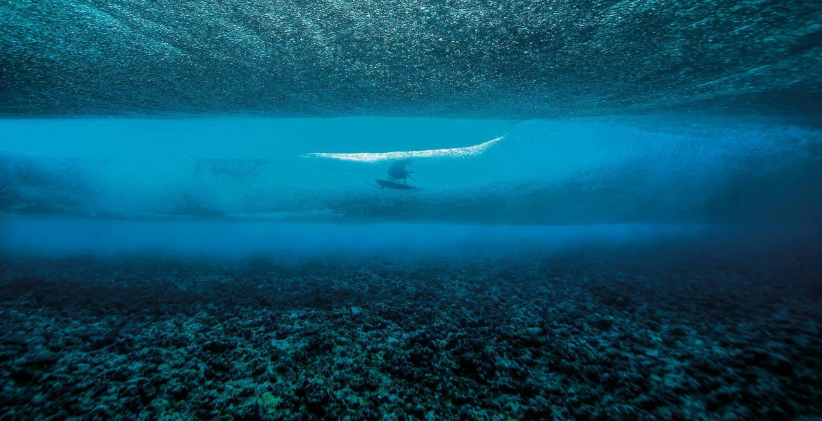 Todd Glaser’s underwater dreamscapes.