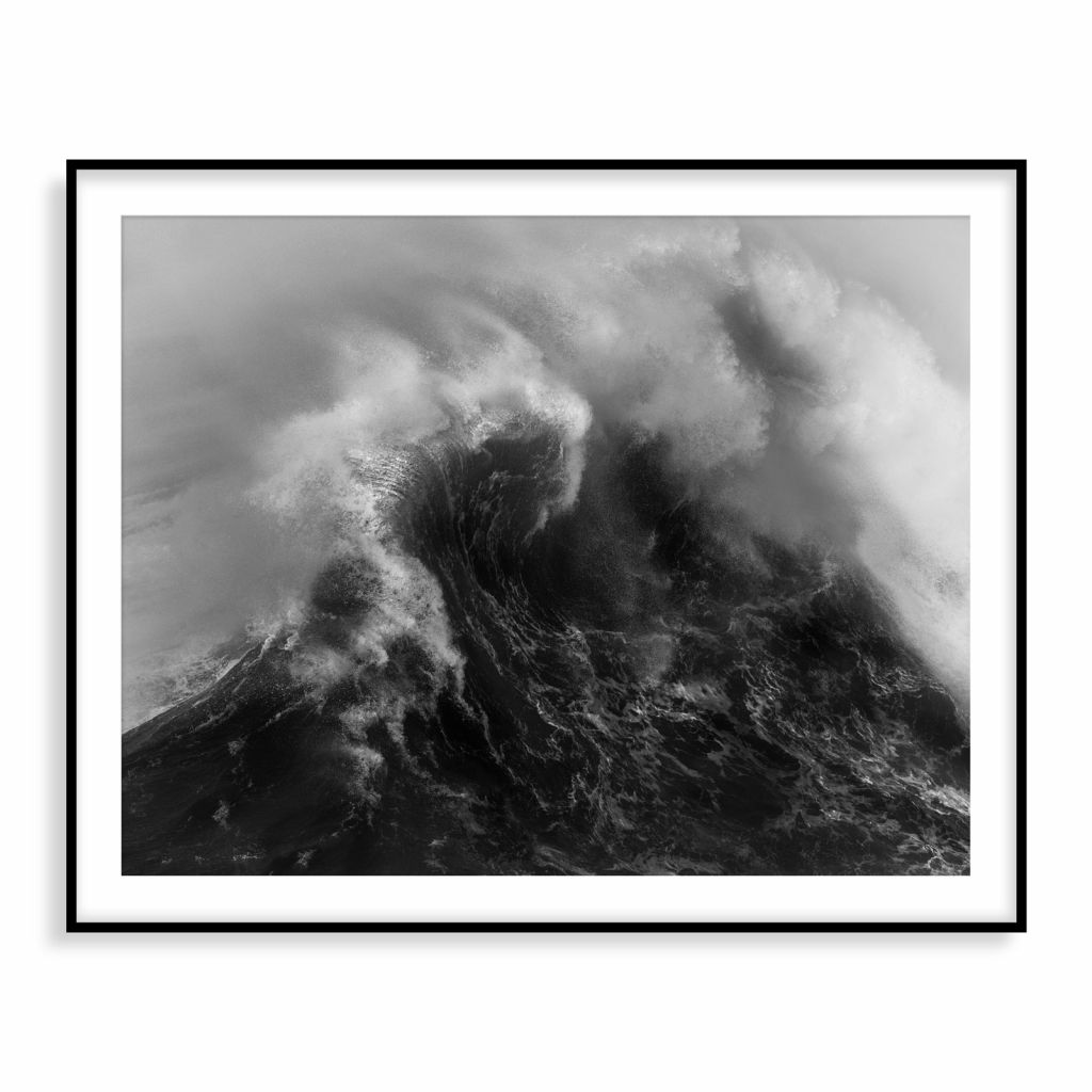 Whiplash by Ray Collins