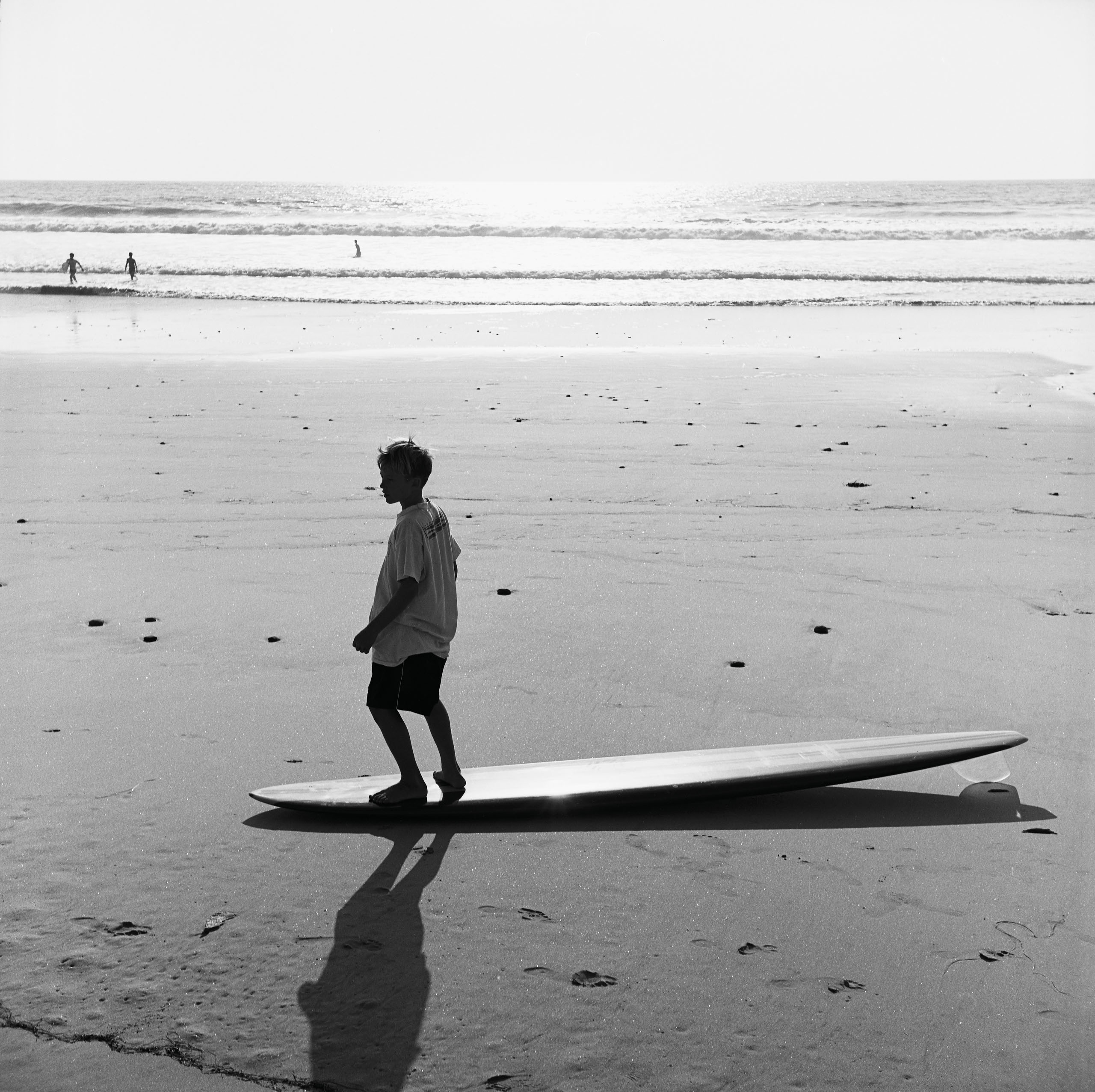 2022 Annual Report | Lauritzen Gardens by Lauritzen Gardens - Issuu, image size:2560x2554