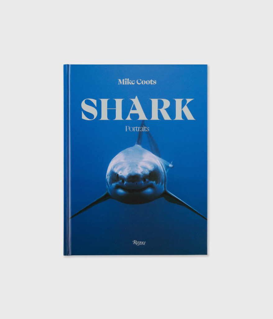 Shark: Portraits
