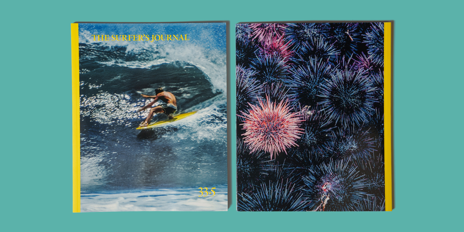 Volume 33 No. 5 - The Surfers Journal