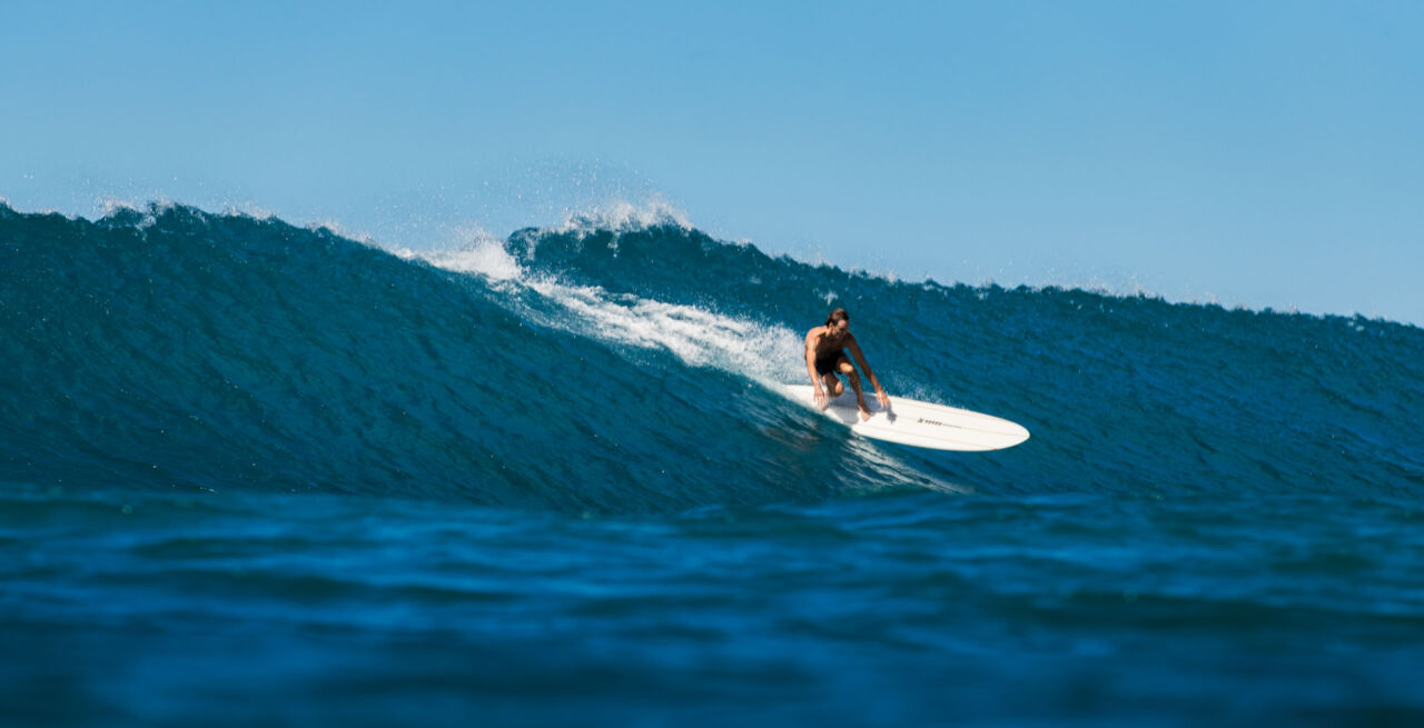 34.6 - The Surfers Journal