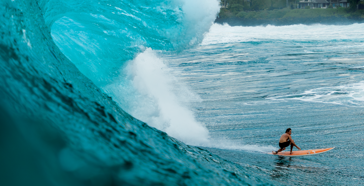 34.6 - The Surfers Journal