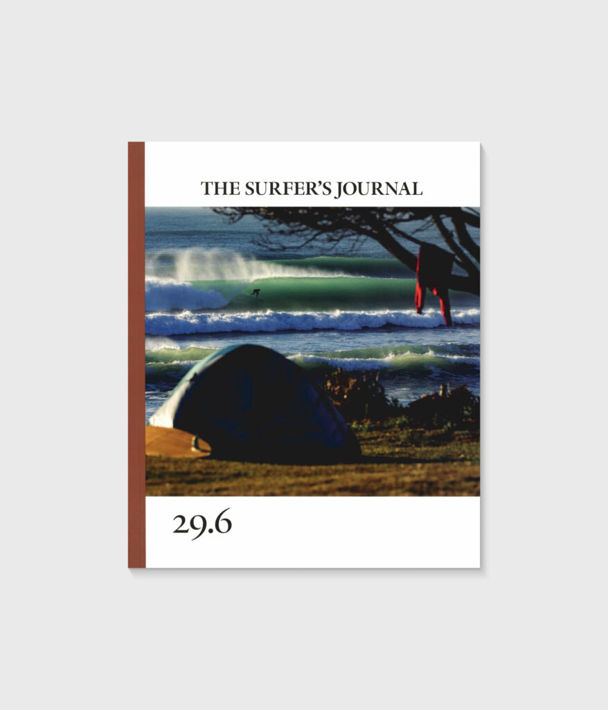 Volume 29 No. 6